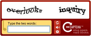 reCaptcha example