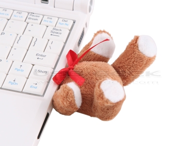 usbteddycomp